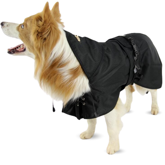 Casaco Térmico Impermeável para Cães | Back on Track