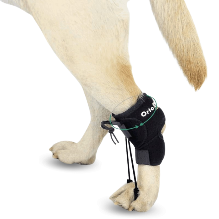 Corretor Proprioceptivo para Cães com Knuckling | 5 Tamanhos