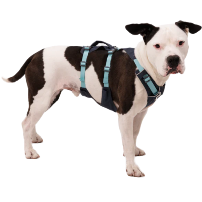 Arnês de Elevação Multiuso Canino | Estrutura Resistente