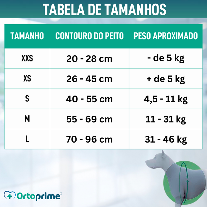 Arnês Canino para Reabilitação Neurológica | 5 Tamanhos
