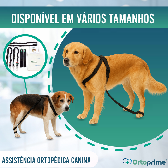 Dispositivo para Ataxia Canina | Assistência a Cães