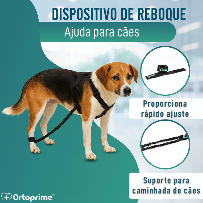Dispositivo para Ataxia Canina | Assistência a Cães