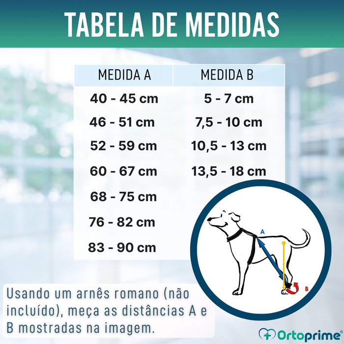 Dispositivo para Ataxia Canina | Assistência a Cães