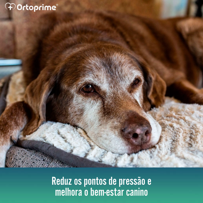 Colchão Viscoelástico Cães com Capa Impermeável | 4 Tamanhos