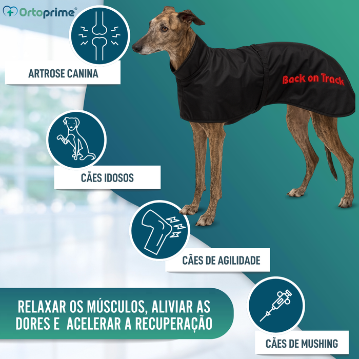 Abrigo Térmico Impermeável para Galgo | 2 Tamanhos