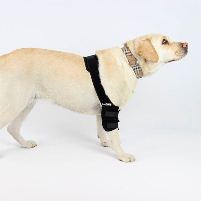 Protetor de Cotovelo para Cães com Faixas de Velcro - Por Tamanhos