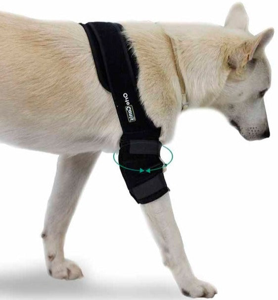 Protetor de Cotovelo para Cães com Faixas de Velcro - Por Tamanhos