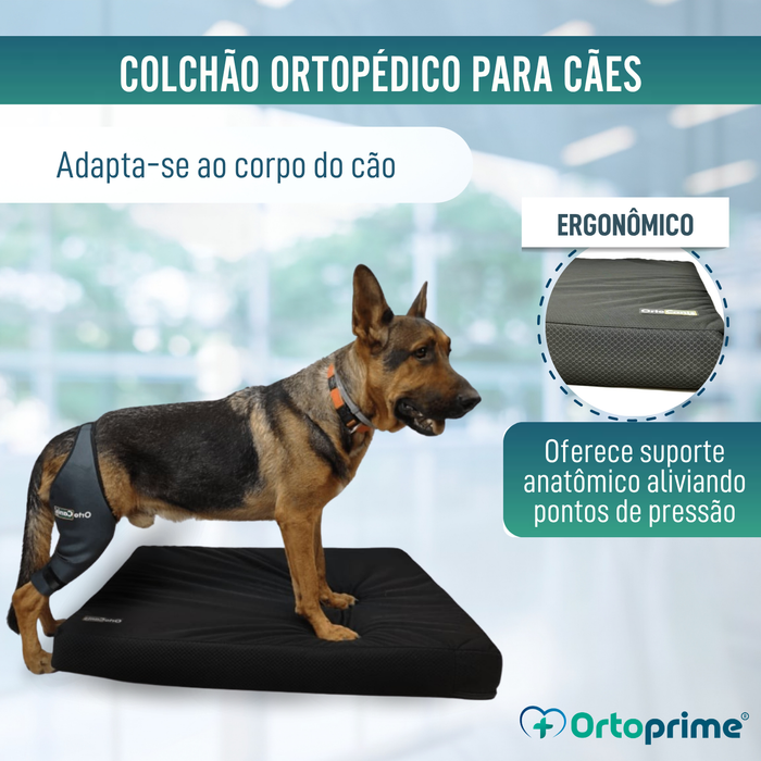 Colchão Viscoelástico Cães com Capa Impermeável | 4 Tamanhos