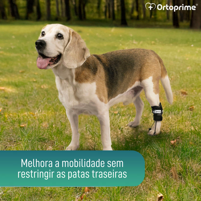 Corretor Proprioceptivo para Cães com Knuckling | 5 Tamanhos