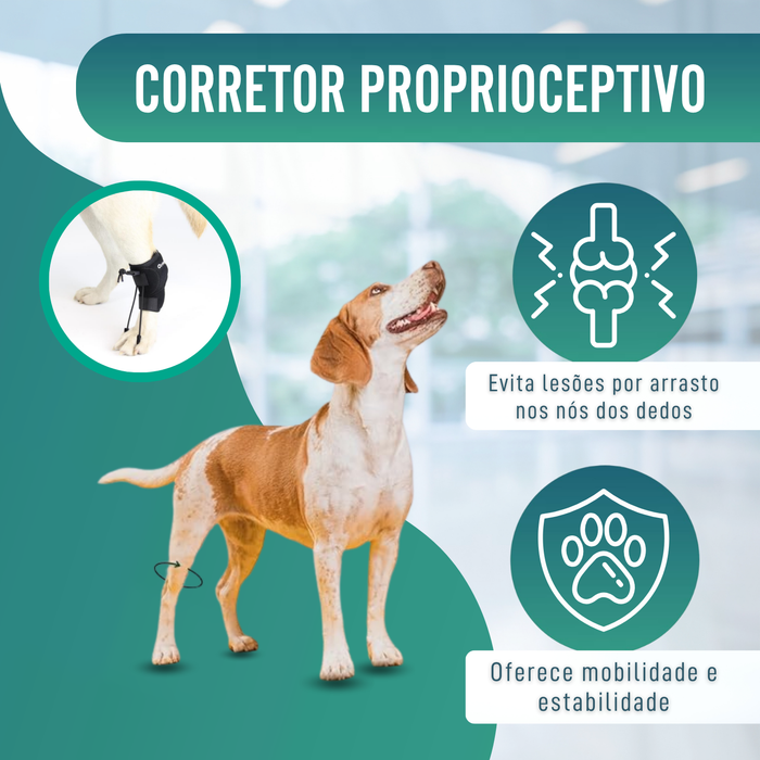 Corretor Proprioceptivo para Cães com Knuckling | 5 Tamanhos