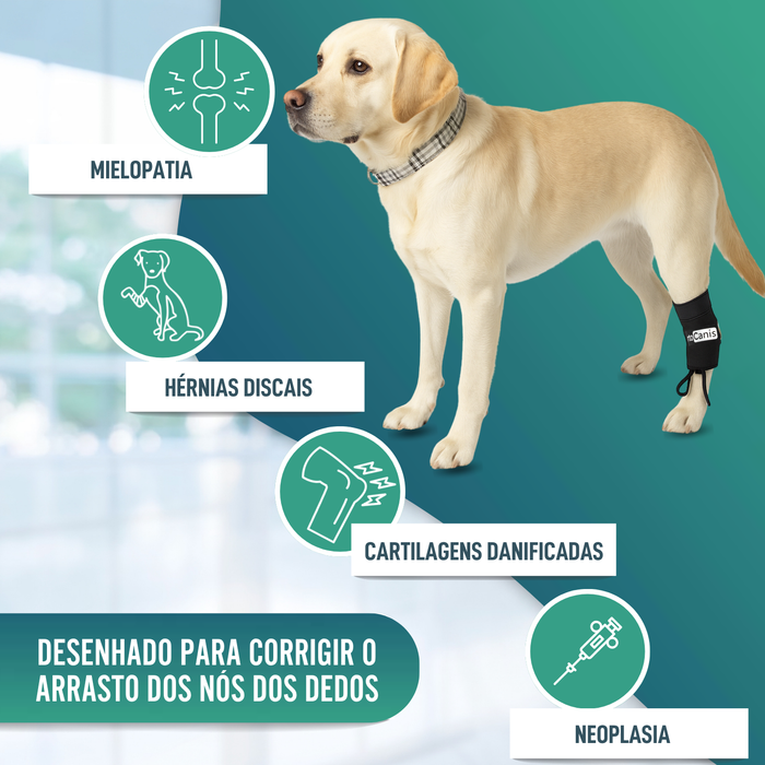 Corretor Proprioceptivo para Cães com Knuckling | 5 Tamanhos