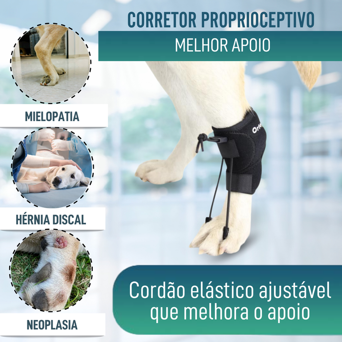 Corretor Proprioceptivo para Cães com Knuckling | 5 Tamanhos