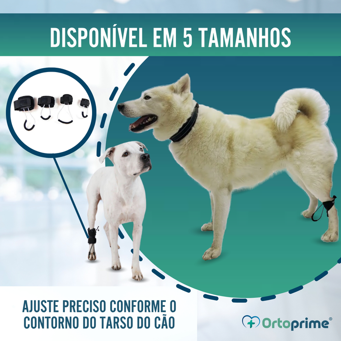 Corretor Proprioceptivo para Cães com Knuckling | 5 Tamanhos