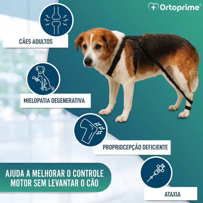 Dispositivo para Ataxia Canina | Assistência a Cães