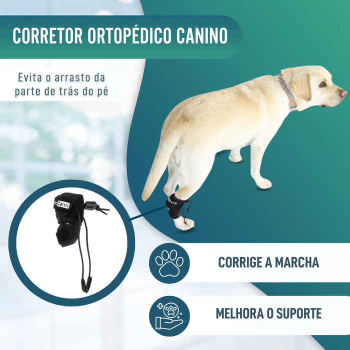 Corretor Proprioceptivo para Cães com Knuckling | 5 Tamanhos