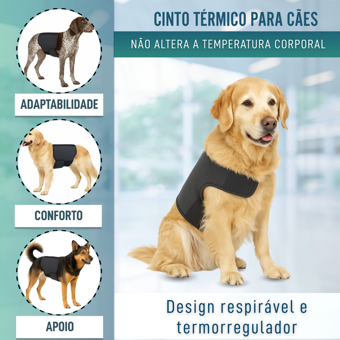 Suporte Térmico Canino Back on Track | Cinta para as Costas