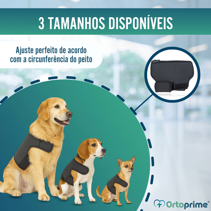 Suporte Térmico Canino Back on Track | Cinta para as Costas