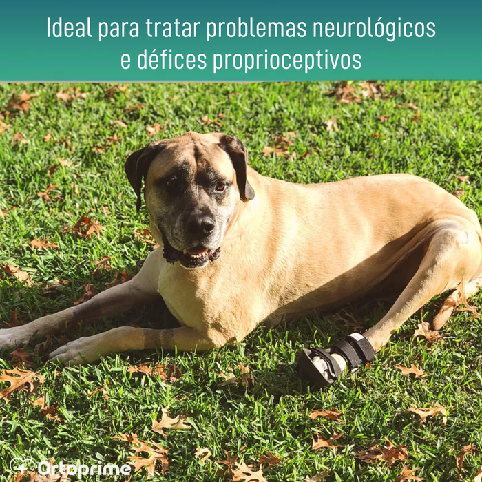 Férula de Bota Curta para Cães com Knuckling | 5 Tamanhos