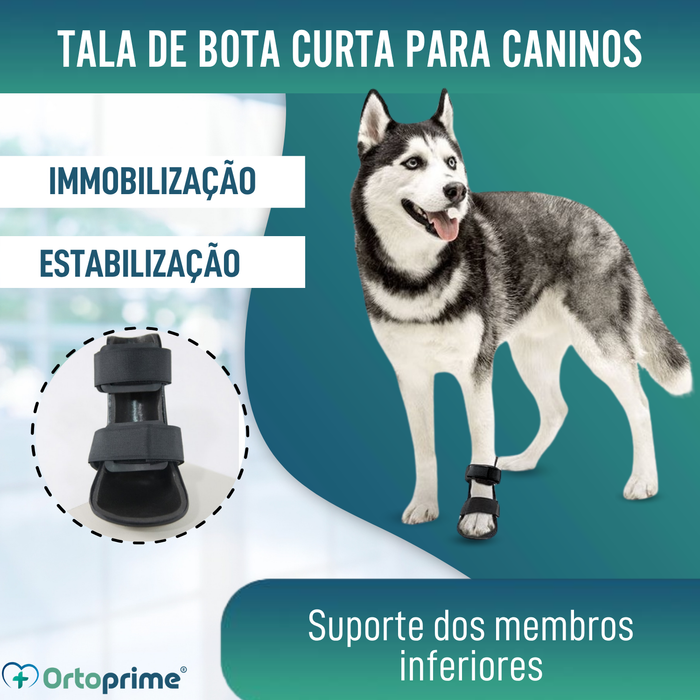Férula de Bota Curta para Cães com Knuckling | 5 Tamanhos