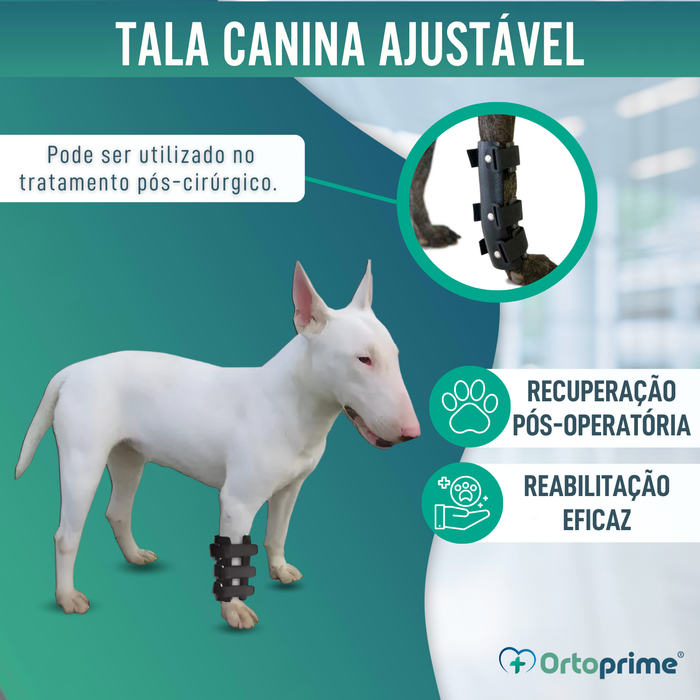 Férula de Carpo para Perro | Suporte Canino em 5 Tamanhos