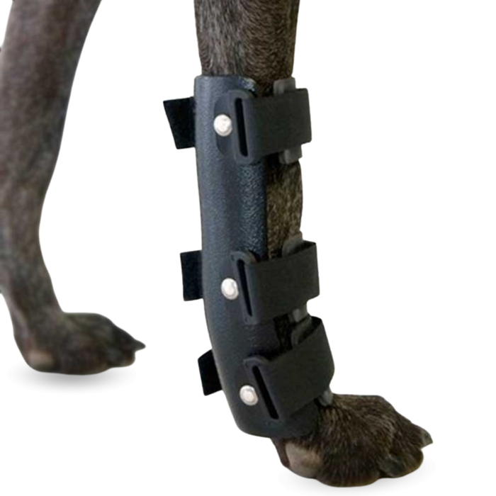 Férula de Carpo para Perro | Suporte Canino em 5 Tamanhos