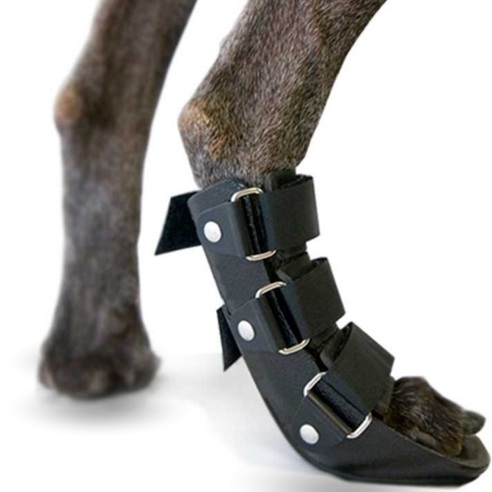 Férula de Bota Curta para Cães com Knuckling | 5 Tamanhos