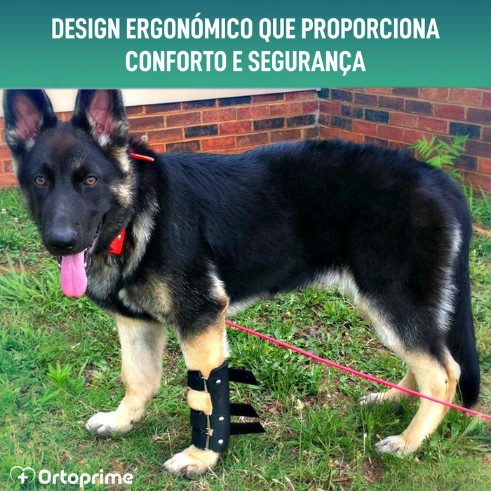 Férula de Carpo para Perro | Suporte Canino em 5 Tamanhos