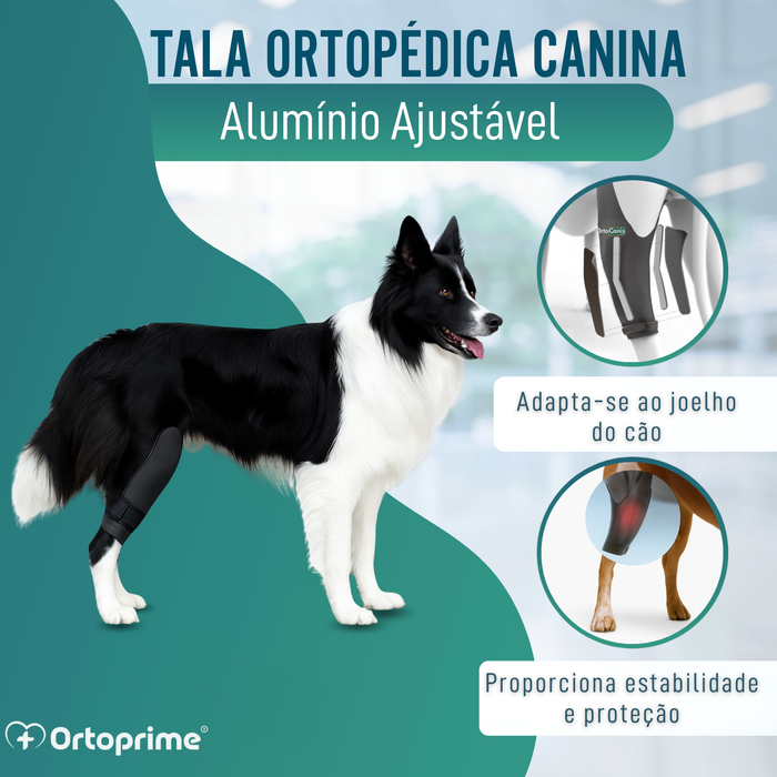 Imobilizador de Joelho para Cães em Neoprene | 9 Tamanhos