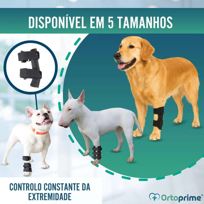 Férula de Carpo para Perro | Suporte Canino em 5 Tamanhos