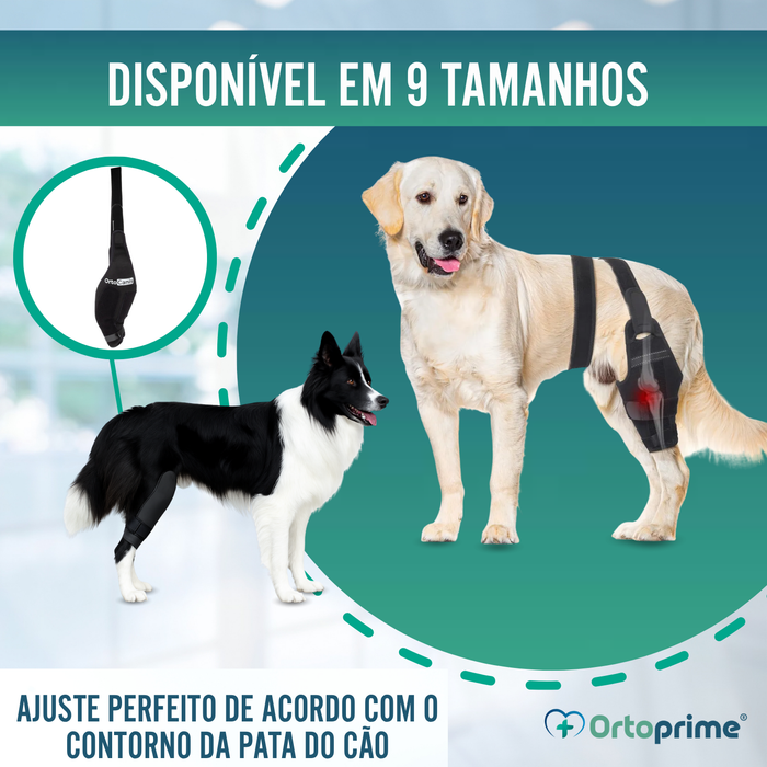 Imobilizador de Joelho para Cães em Neoprene | 9 Tamanhos