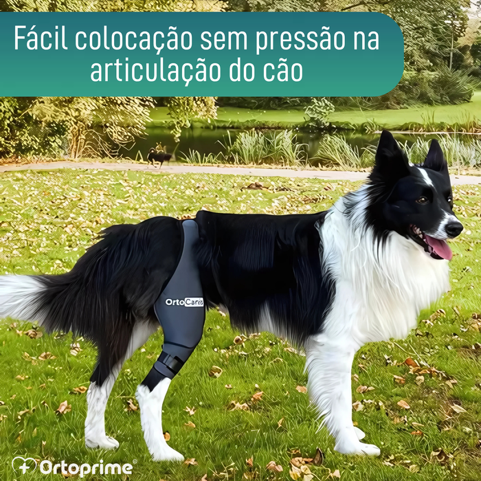 Imobilizador de Joelho para Cães em Neoprene | 9 Tamanhos