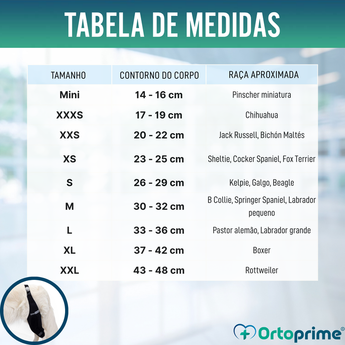 Imobilizador de Joelho para Cães em Neoprene | 9 Tamanhos