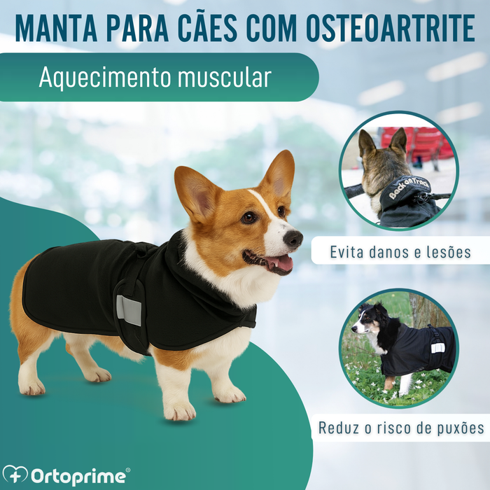 Manta Terapêutica Back on Track para Cães | 21 Tamanhos
