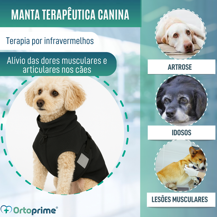 Manta Terapêutica Back on Track para Cães | 21 Tamanhos