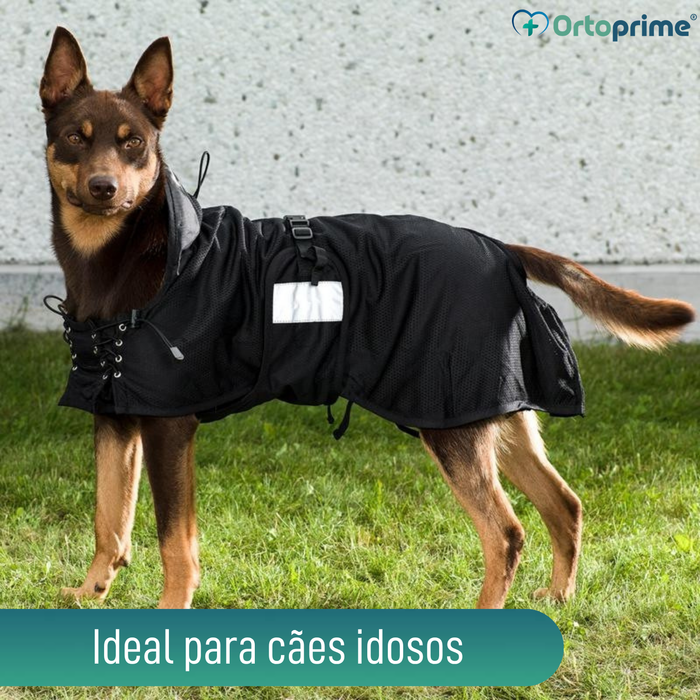 Manta Terapêutica Back on Track para Cães | 21 Tamanhos