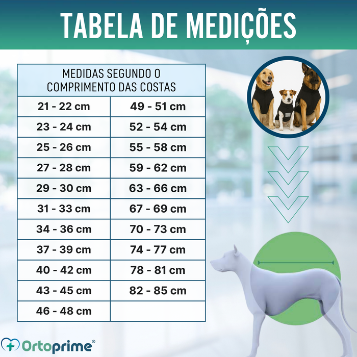 Manta Terapêutica Back on Track para Cães | 21 Tamanhos