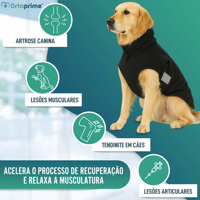 Manta Terapêutica Back on Track para Cães | 21 Tamanhos