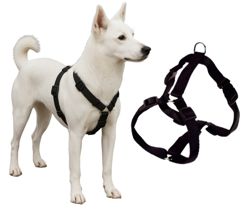 Arnês Canino para Reabilitação Neurológica | 5 Tamanhos