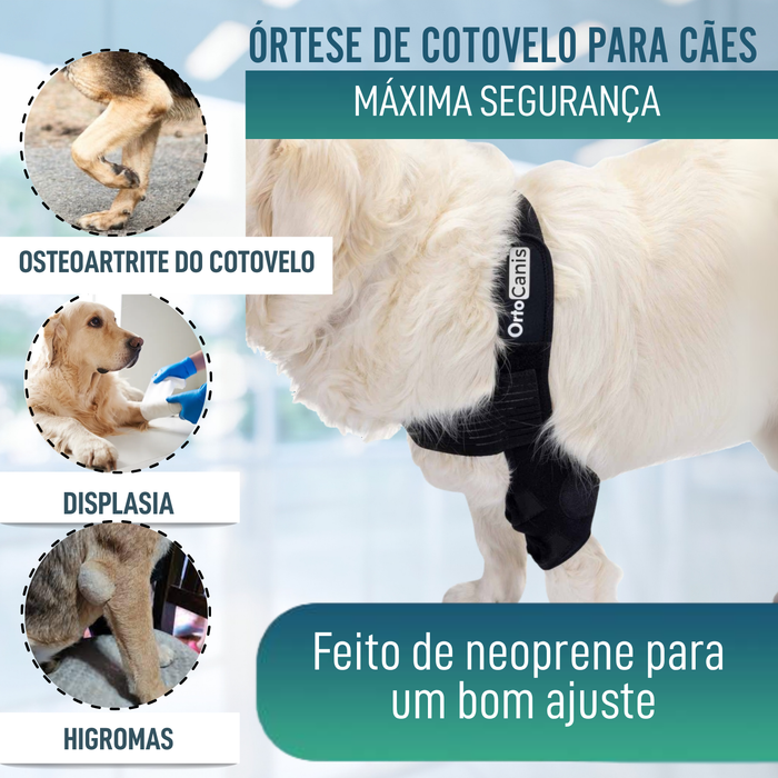 Órtese de Cotovelo para Cães com Artrose Reabilitação Canina
