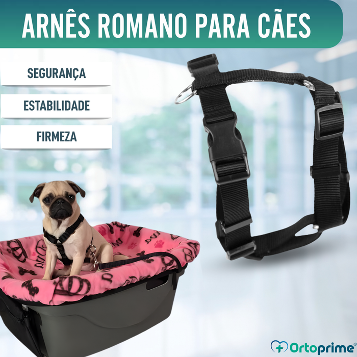Arnês Canino para Reabilitação Neurológica | 5 Tamanhos