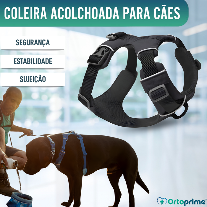 Arnês Acolchoado para Cães de Uso Diário | Dupla Fixação