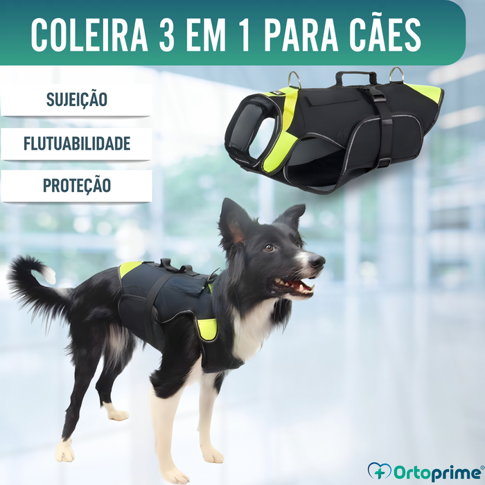Arnês Canino Multifuncional 3 em 1 em Neoprene | 4 Tamanhos