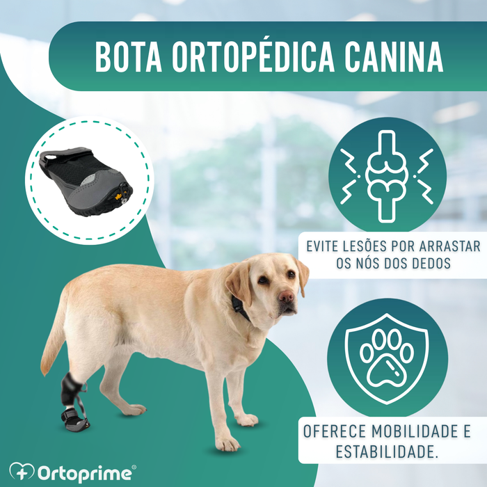 Bota para Corretor Proprioceptivo Canino | Sola de Borracha