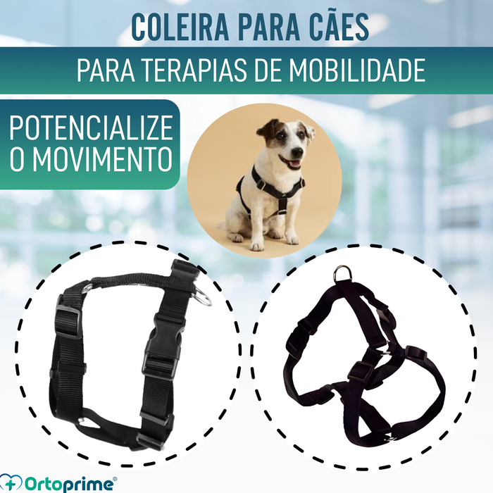 Arnês Canino para Reabilitação Neurológica | 5 Tamanhos