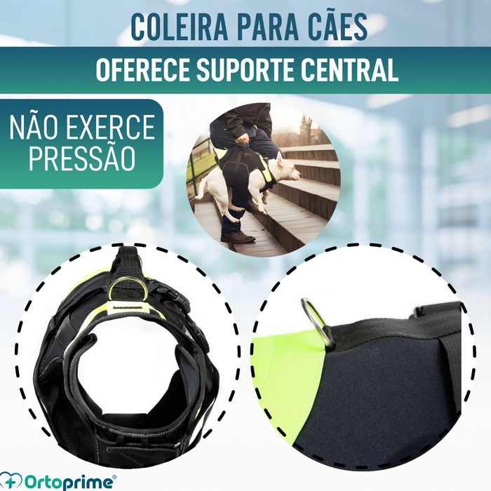 Arnês Canino Multifuncional 3 em 1 em Neoprene | 4 Tamanhos