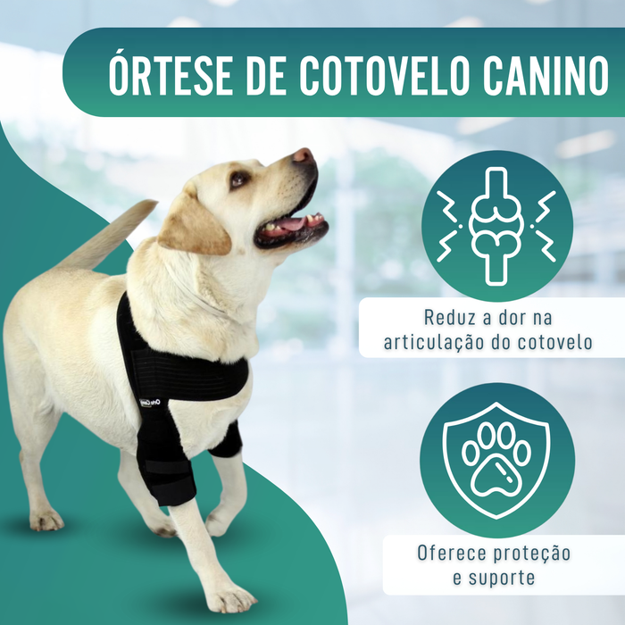 Órtese de Cotovelo para Cães com Artrose Reabilitação Canina