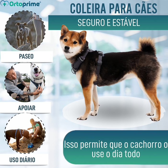 Arnês Acolchoado para Cães de Uso Diário | Dupla Fixação
