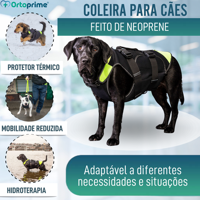 Arnês Canino Multifuncional 3 em 1 em Neoprene | 4 Tamanhos