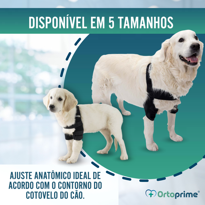 Órtese de Cotovelo para Cães com Artrose Reabilitação Canina