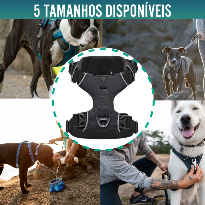 Arnês Acolchoado para Cães de Uso Diário | Dupla Fixação